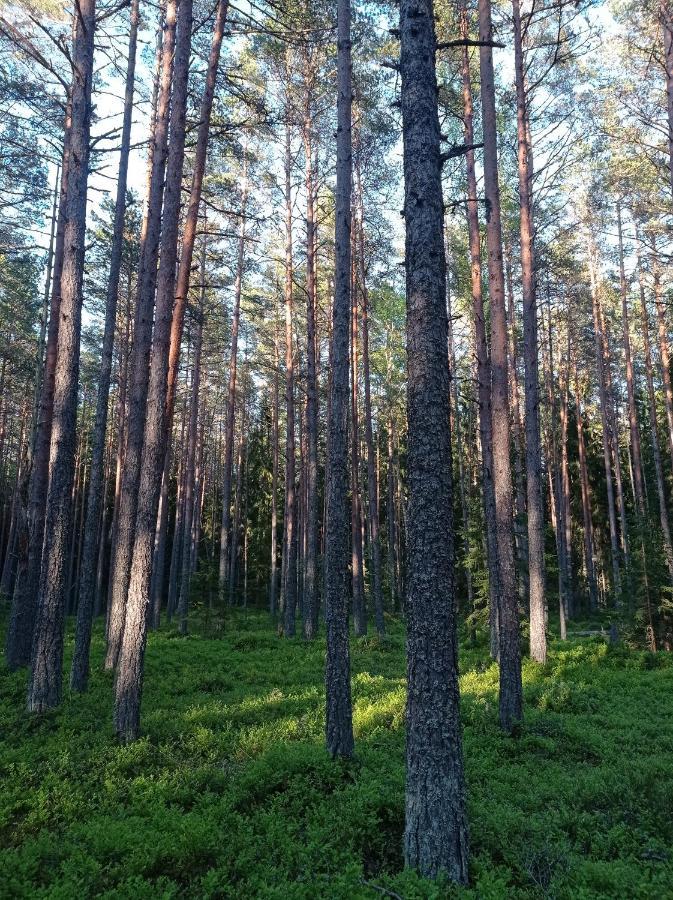 Toomarahva Farmstay